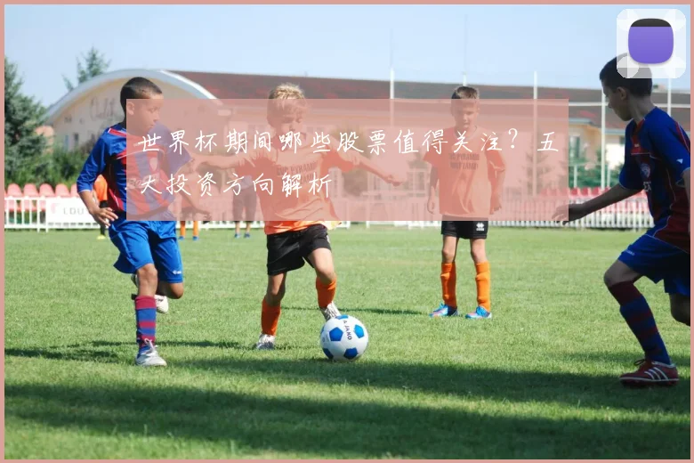 世界杯期间哪些股票值得关注？五大投资方向解析