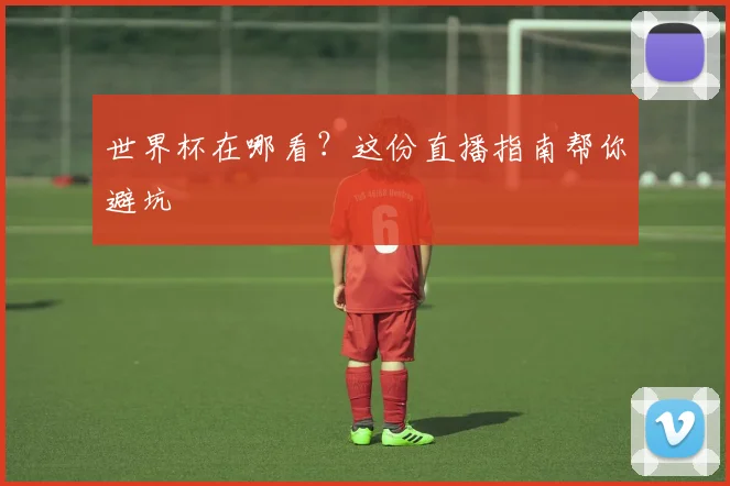 世界杯在哪看?这份直播指南帮你避坑