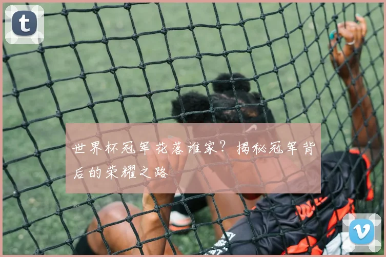 世界杯冠军花落谁家?揭秘冠军背后的荣耀之路
