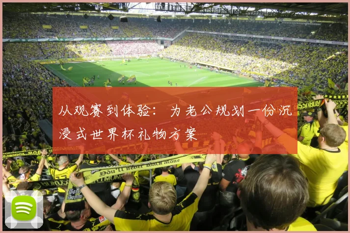 从观赛到体验：为老公规划一份沉浸式世界杯礼物方案