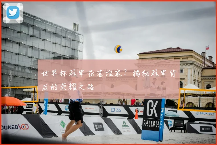 世界杯冠军花落谁家?揭秘冠军背后的荣耀之路