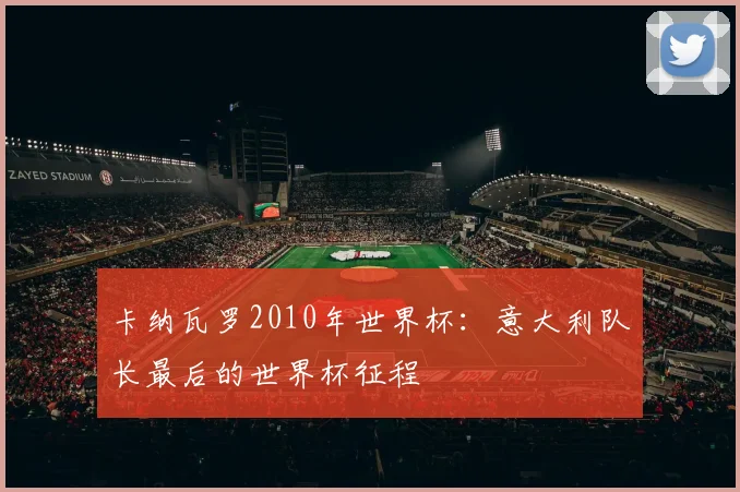 卡纳瓦罗2010年世界杯：意大利队长最后的世界杯征程