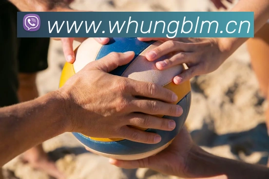 乐鱼体育app官网登录入口平台生态图