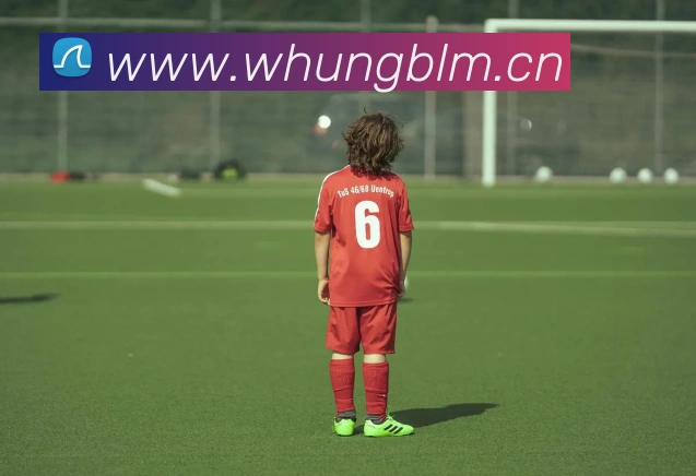 乐鱼体育app官网登录入口全站App